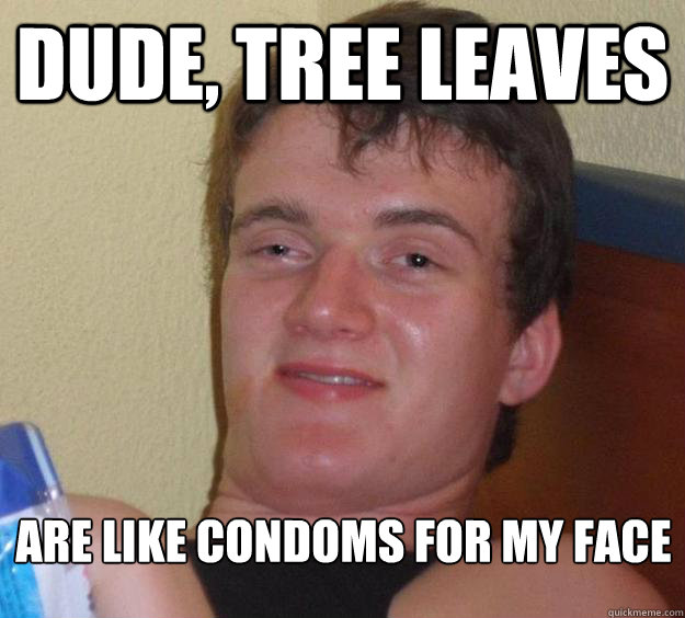 Dude, tree leaves  are like condoms for my face  10 Guy