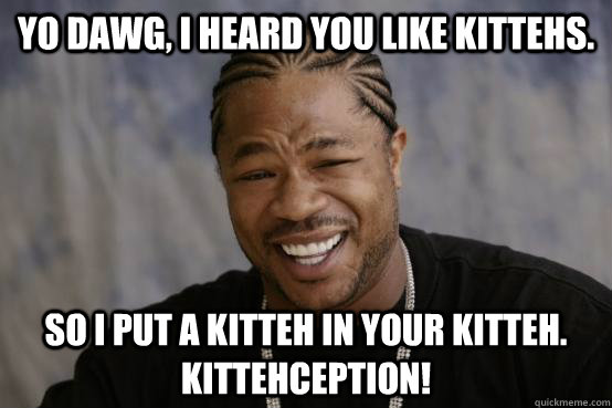 YO DAWG, I HEARD YOU LIKE KITTEHS. SO I PUT A KITTEH IN YOUR KITTEH. KITTEHCEPTION!  YO DAWG