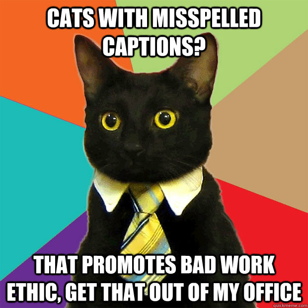 CATS WITH MISSPELLED CAPTIONS? THAT PROMOTES BAD WORK ETHIC, GET THAT OUT OF MY OFFICE - CATS WITH MISSPELLED CAPTIONS? THAT PROMOTES BAD WORK ETHIC, GET THAT OUT OF MY OFFICE  Business Cat