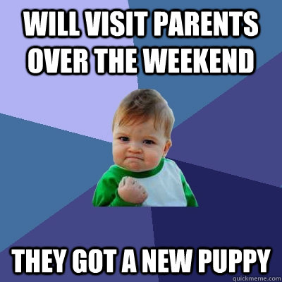 Will visit parents over the weekend they got a new puppy  Success Kid