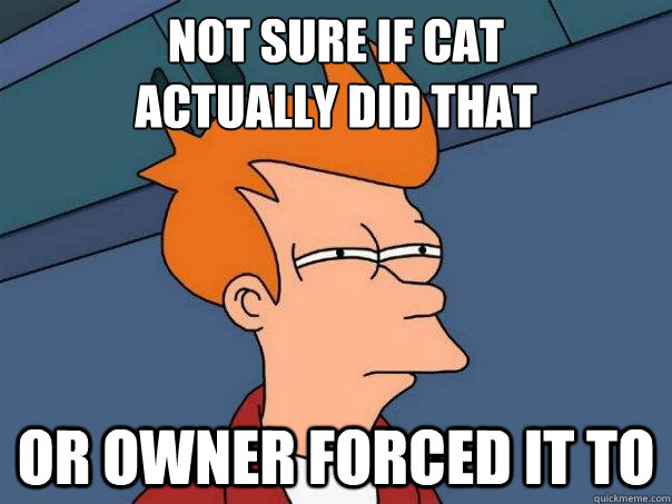 Not sure if cat
actually did that Or owner forced it to  Futurama Fry