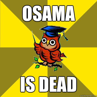 OSAMA IS DEAD  Observational Owl