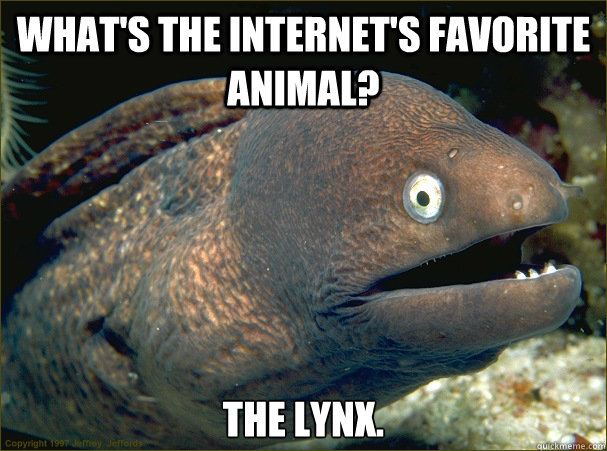 What's the Internet's favorite animal? The lynx.  Bad Joke Eel