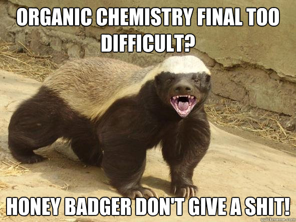 Organic Chemistry Final too difficult? Honey badger don't give a shit!  