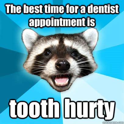 The best time for a dentist appointment is tooth hurty  Lame Pun Coon