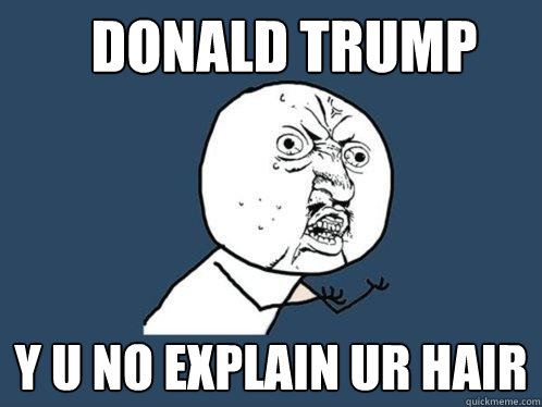 Donald Trump Y u no explain ur hair - Donald Trump Y u no explain ur hair  Y U No