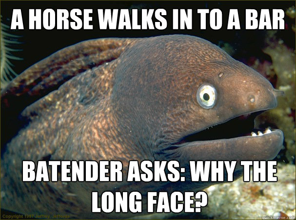 A horse walks in to a bar batender asks: Why the long face?  Bad Joke Eel