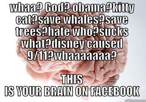 WHAA? GOD? OBAMA?KITTY CAT?SAVE WHALES?SAVE TREES?HATE WHO?SUCKS WHAT?DISNEY CAUSED 9/11?WHAAAAAAA? THIS IS YOUR BRAIN ON FACEBOOK Scumbag Brain