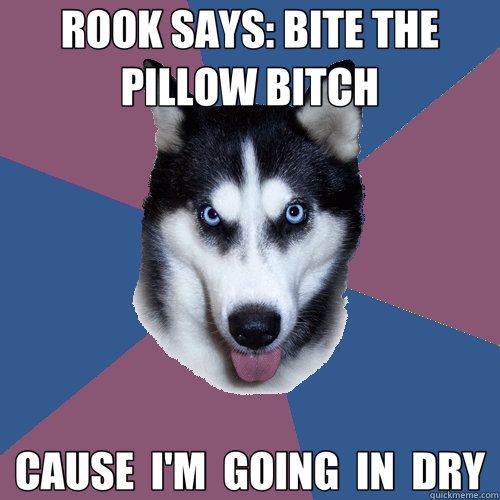 ROOK SAYS: BITE THE PILLOW BITCH CAUSE  I'M  GOING  IN  DRY  Creeper Canine