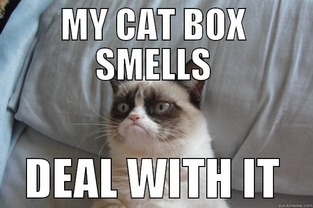 MY CAT BOX SMELLS DEAL WITH IT Grumpy Cat