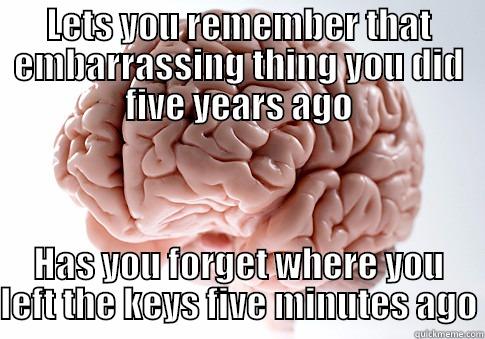 LETS YOU REMEMBER THAT EMBARRASSING THING YOU DID FIVE YEARS AGO HAS YOU FORGET WHERE YOU LEFT THE KEYS FIVE MINUTES AGO Scumbag Brain