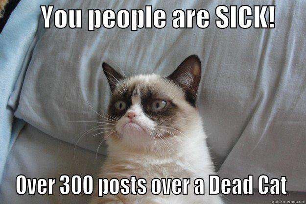 Dead cat -         YOU PEOPLE ARE SICK!       OVER 300 POSTS OVER A DEAD CAT Grumpy Cat