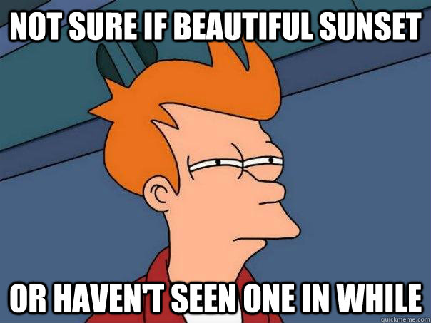 Not sure if beautiful sunset or haven't seen one in while  Futurama Fry