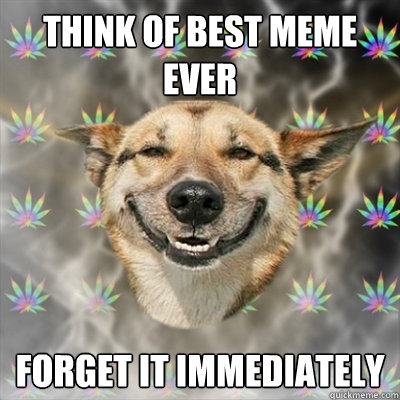 think of best meme ever forget it immediately  Stoner Dog