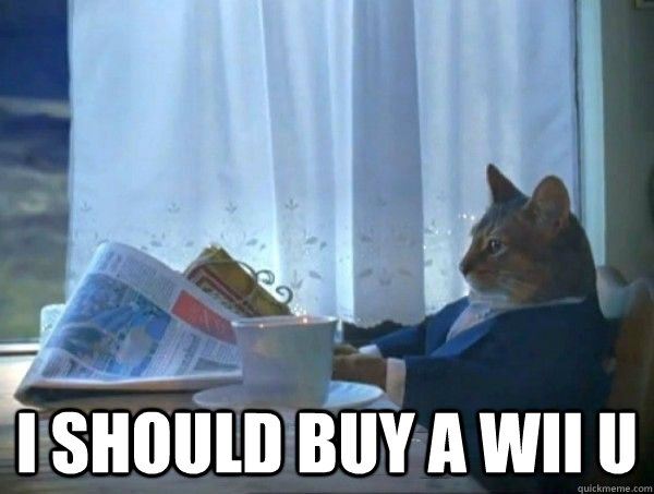  I should buy a Wii U  morning realization newspaper cat meme