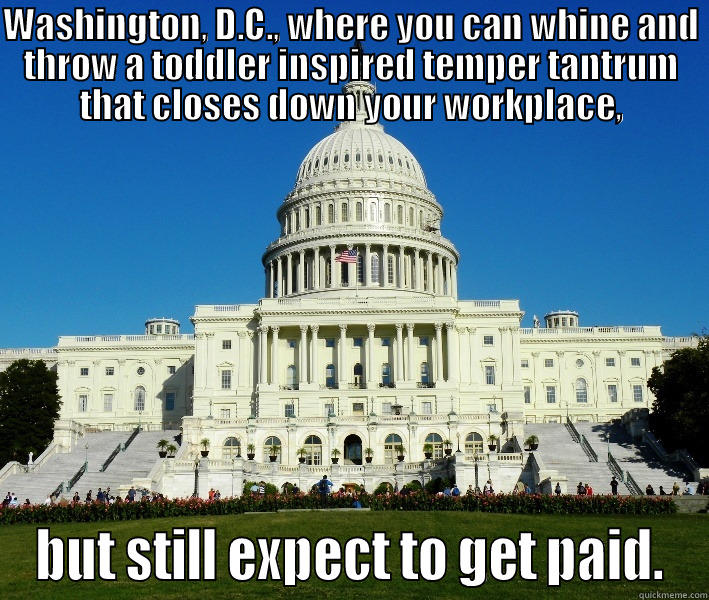 WASHINGTON, D.C., WHERE YOU CAN WHINE AND THROW A TODDLER INSPIRED TEMPER TANTRUM THAT CLOSES DOWN YOUR WORKPLACE, BUT STILL EXPECT TO GET PAID. Misc