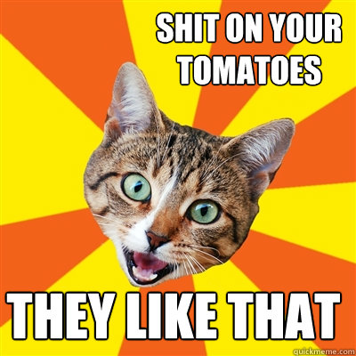 shit on your tomatoes they like that  Bad Advice Cat