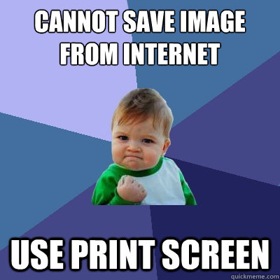 cannot save image from internet use print screen  Success Kid