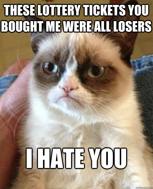 These lottery tickets you bought me were all losers I hate you  Grumpy Cat