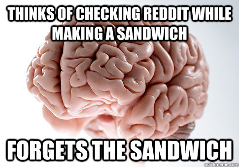 Thinks of checking reddit while making a sandwich forgets the sandwich  Scumbag Brain