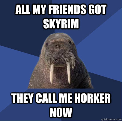 All my friends got skyrim They call me Horker now  Web Developer Walrus