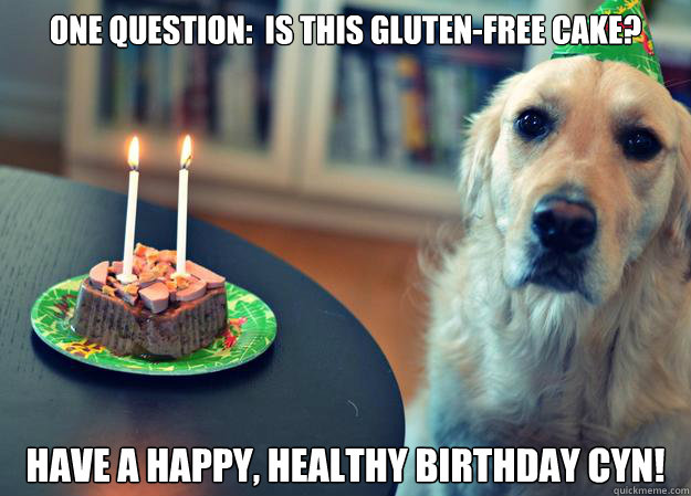 One Question:  IS THIS GLUTEN-FREE CAKE? Have a happy, healthy birthday Cyn!  Sad Birthday Dog