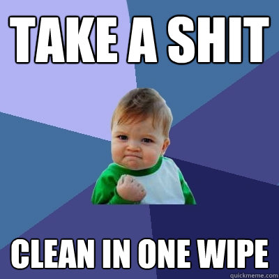 Take a shit Clean in one wipe - Take a shit Clean in one wipe  Success Kid