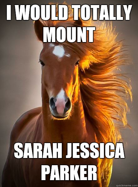 I would totally Mount Sarah Jessica Parker   Ridiculously Photogenic Horse