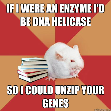 If I were an enzyme I'd be DNA Helicase So I could unzip your genes - If I were an enzyme I'd be DNA Helicase So I could unzip your genes  Science Major Mouse