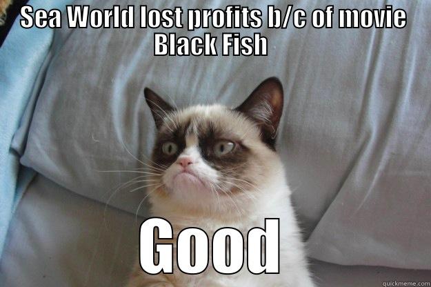 SEA WORLD LOST PROFITS B/C OF MOVIE BLACK FISH  GOOD Grumpy Cat