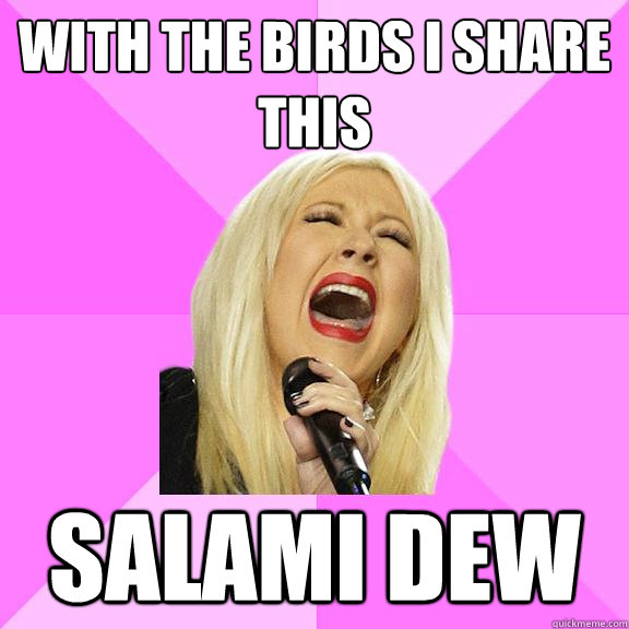 With the birds I share this Salami dew  Wrong Lyrics Christina