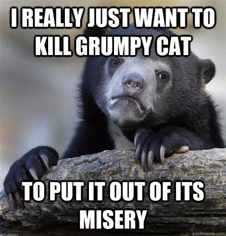 I really just want to kill grumpy cat To put it out of its misery  Confession Bear