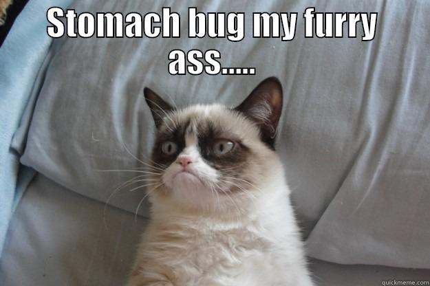 grumpy stomach bug - STOMACH BUG MY FURRY ASS.....  Grumpy Cat