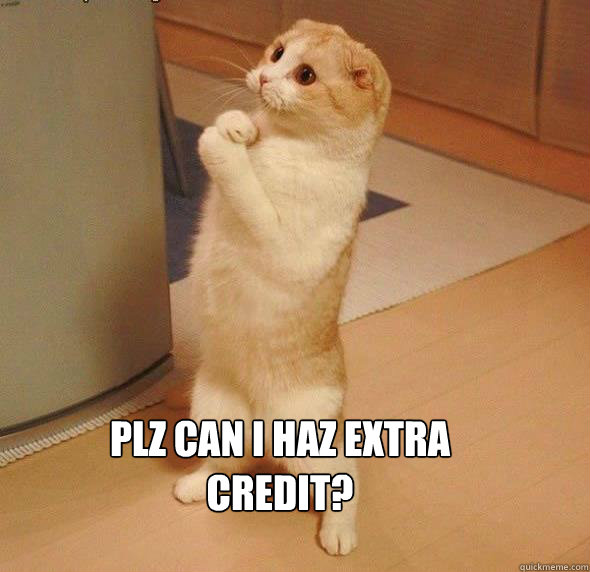 plz can I haz extra credit? - plz can I haz extra credit?  Student Cat