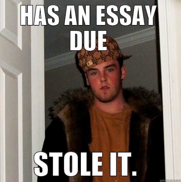 Scumbag Plagiarizer - HAS AN ESSAY DUE STOLE IT.  Scumbag Steve