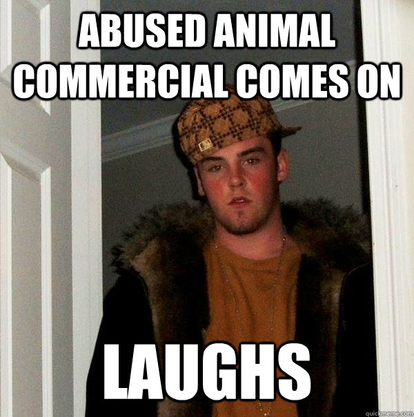 abused animal commercial comes on laughs  Scumbag Steve