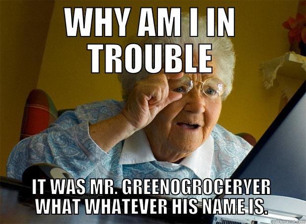 WHY AM I IN TROUBLE IT WAS MR. GREENOGROCERYER WHAT WHATEVER HIS NAME IS. Grandma finds the Internet