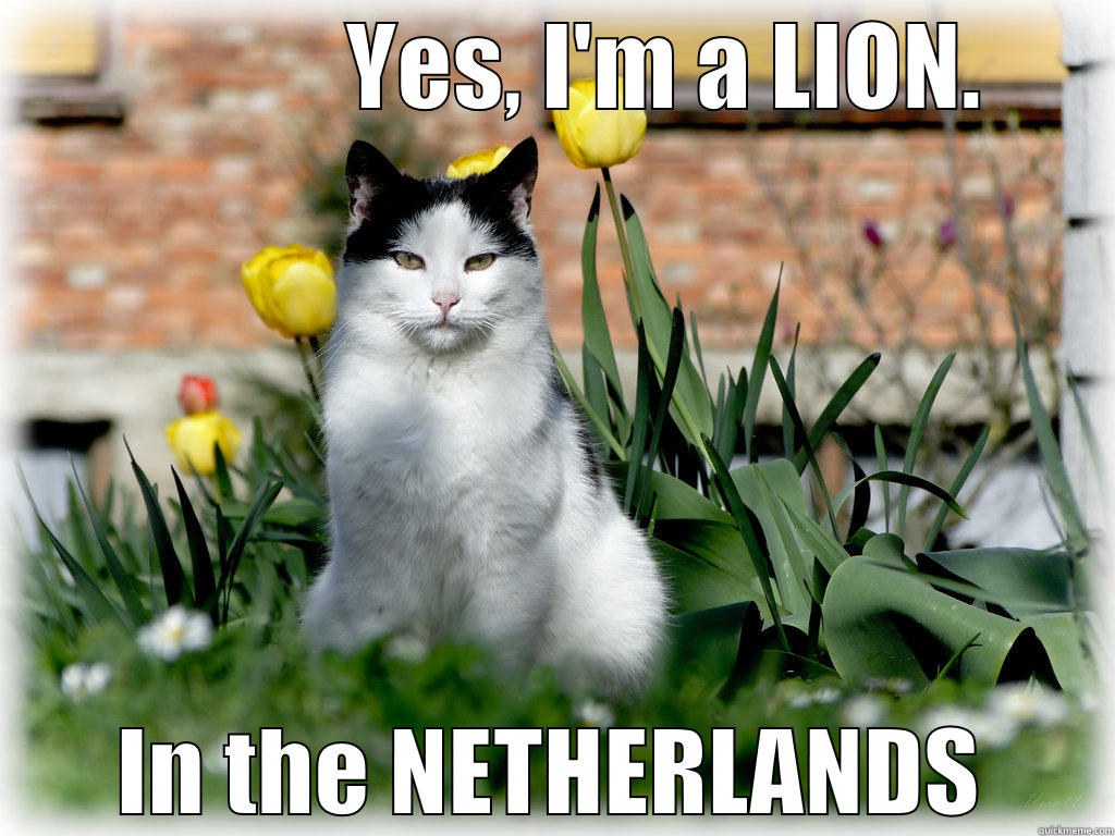             YES, I'M A LION. IN THE NETHERLANDS Misc