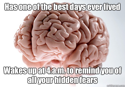 Has one of the best days ever lived Wakes up at 4.a.m. to remind you of all your hidden fears   Scumbag Brain