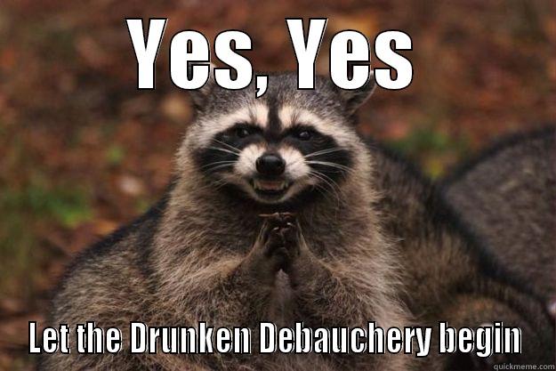 YES, YES LET THE DRUNKEN DEBAUCHERY BEGIN Evil Plotting Raccoon