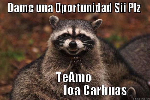 DAME UNA OPORTUNIDAD SII PLZ TEAMO                    IOA CARHUAS  Evil Plotting Raccoon