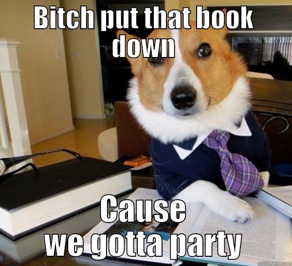 BITCH PUT THAT BOOK DOWN CAUSE WE GOTTA PARTY Lawyer Dog