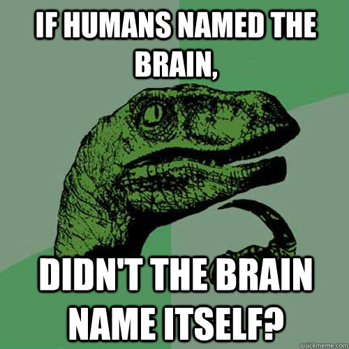 If humans named the brain, Didn't the brain name itself?  Philosoraptor