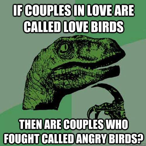 If couples in love are called Love Birds Then are couples who fought called Angry Birds?  Philosoraptor