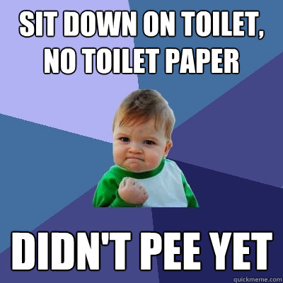 Sit down on toilet, no toilet paper Didn't Pee yet  Success Kid