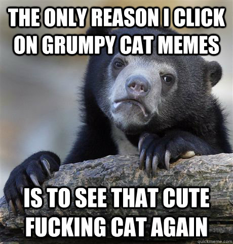 The only reason I click on Grumpy Cat Memes Is to see that cute fucking cat again - The only reason I click on Grumpy Cat Memes Is to see that cute fucking cat again  Confession Bear