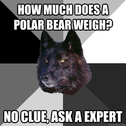 How Much Does A Polar Bear Weigh? No clue, ask a expert  Sanity Wolf