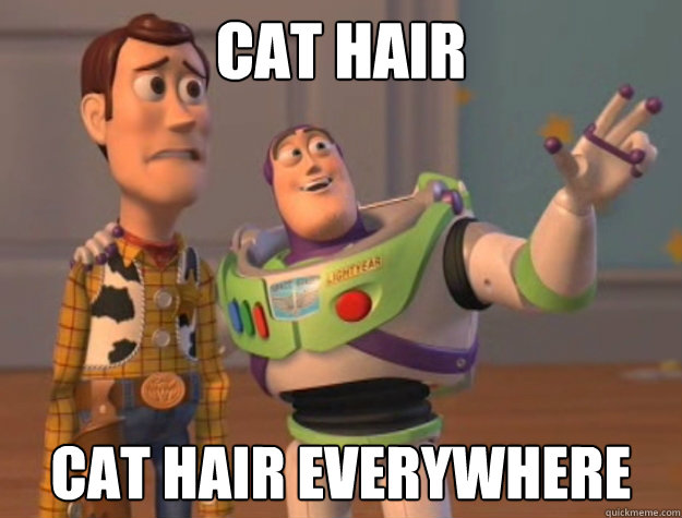 cat hair cat hair everywhere  Buzz Lightyear