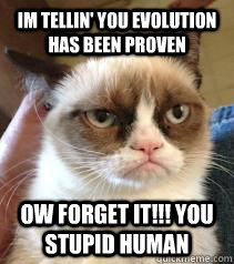 Im tellin' you Evolution has been proven Ow forget it!!! You stupid human  Unimpressed Cat