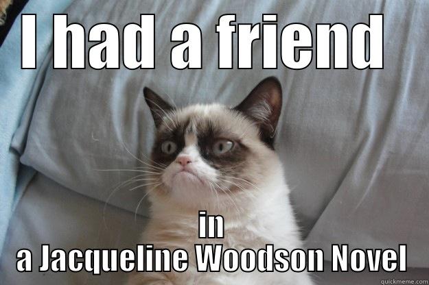 I HAD A FRIEND  IN A JACQUELINE WOODSON NOVEL Grumpy Cat